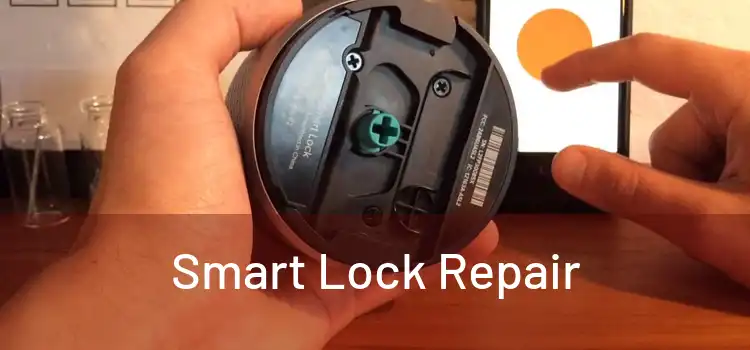 Smart Lock Repair